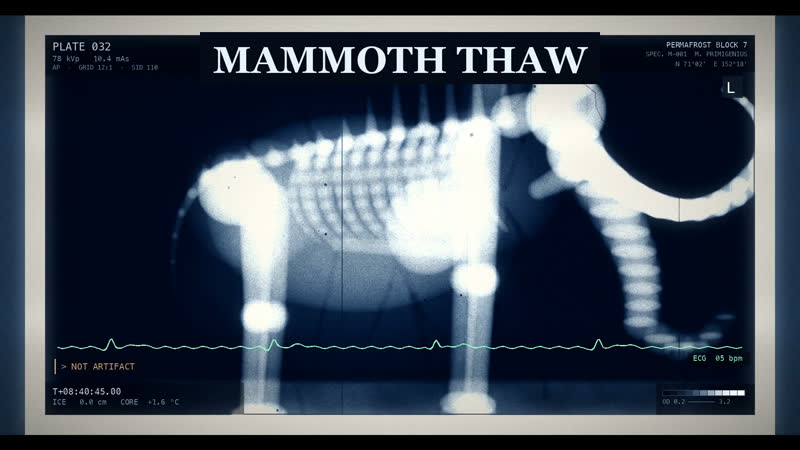 Mammoth Thaw